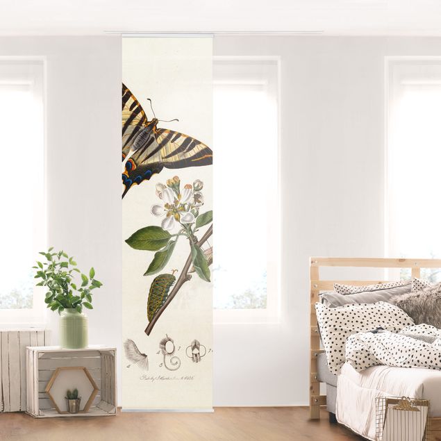 Sliding panel curtains set - John Curtis - A Scarce Swallow-Tail Butterfly