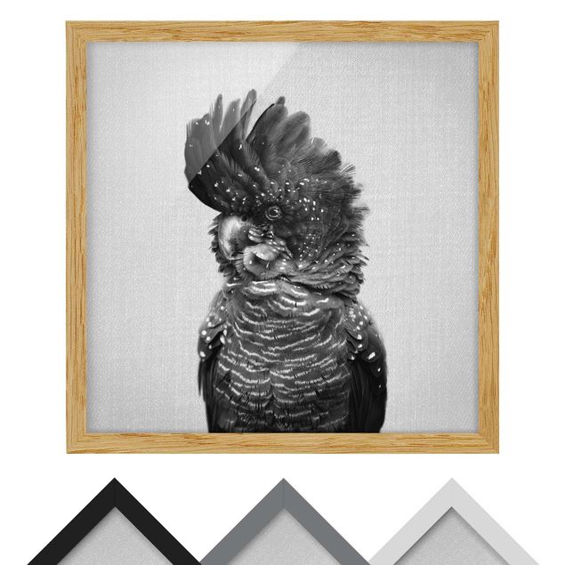 Framed poster - Cockatoo Kanye Black And White
