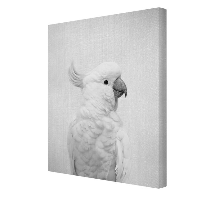 Canvas print - Cockatoo Kiki Black And White - Portrait format 3:4