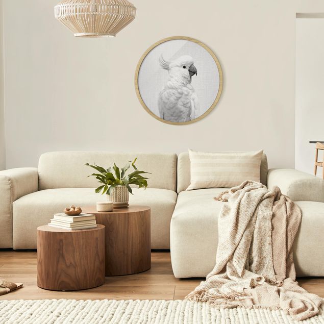 Circular framed print - Cockatoo Kiki Black And White