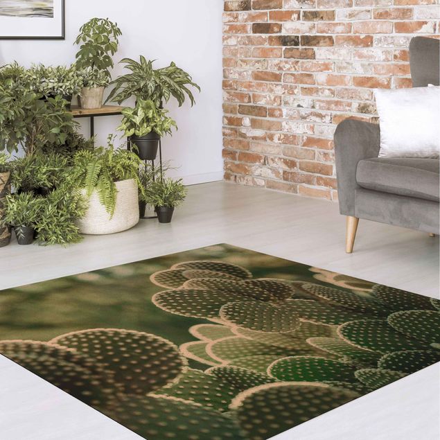 Green rugs Cacti