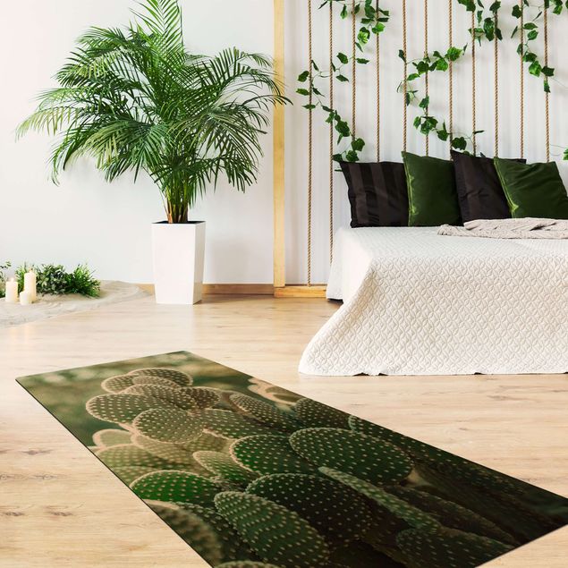 Jungle rugs Cacti