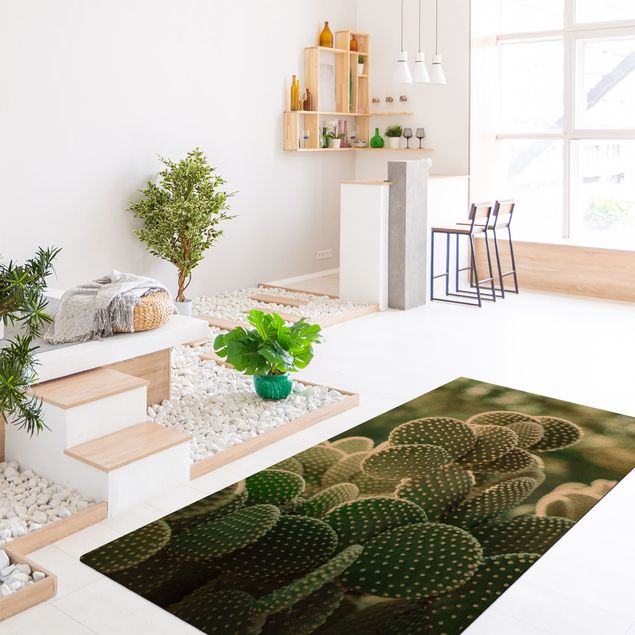 Modern rugs Cacti