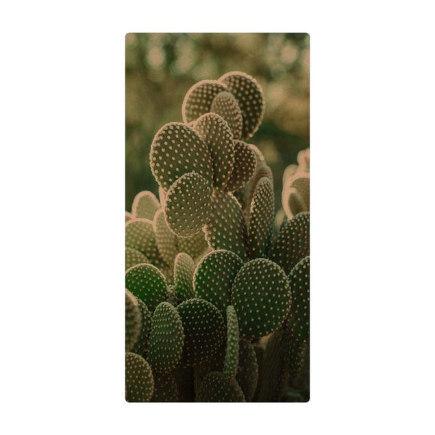 Dining room rugs Cacti