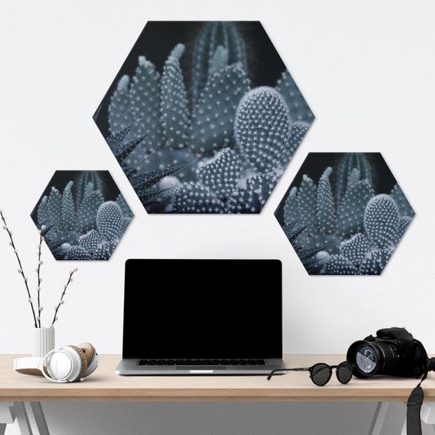 Alu-Dibond hexagon - Familiy Of Cacti At Night