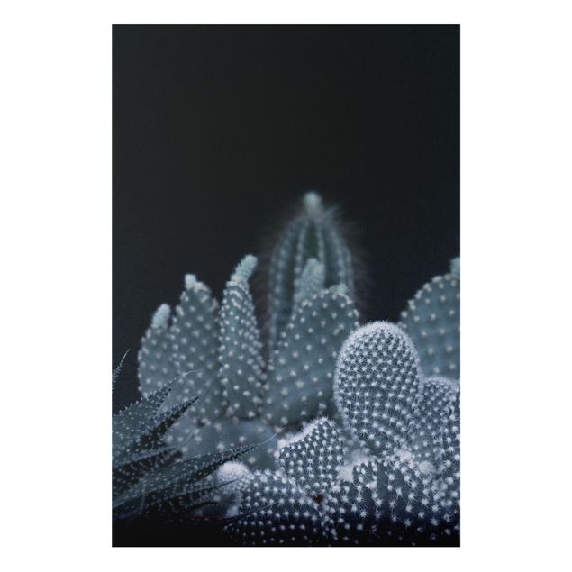 Print on forex - Familiy Of Cacti At Night - Portrait format 2:3