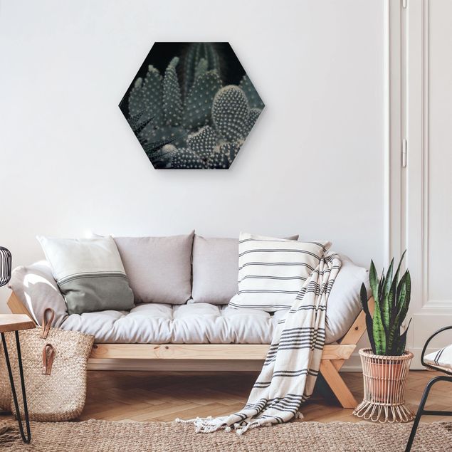 Wooden hexagon - Familiy Of Cacti At Night