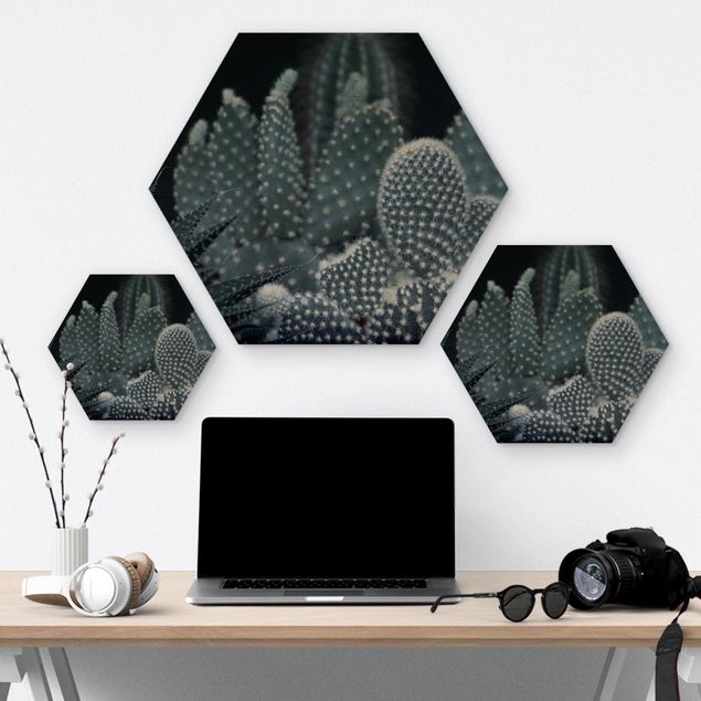 Wooden hexagon - Familiy Of Cacti At Night
