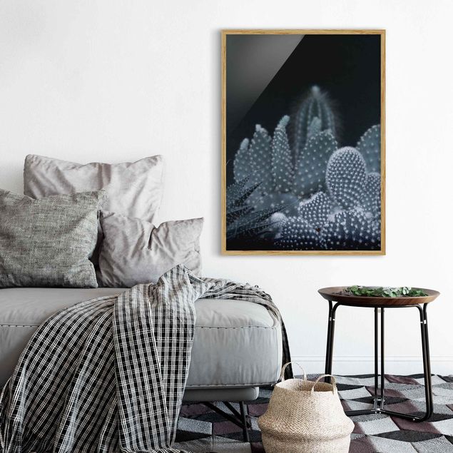 Framed poster - Familiy Of Cacti At Night