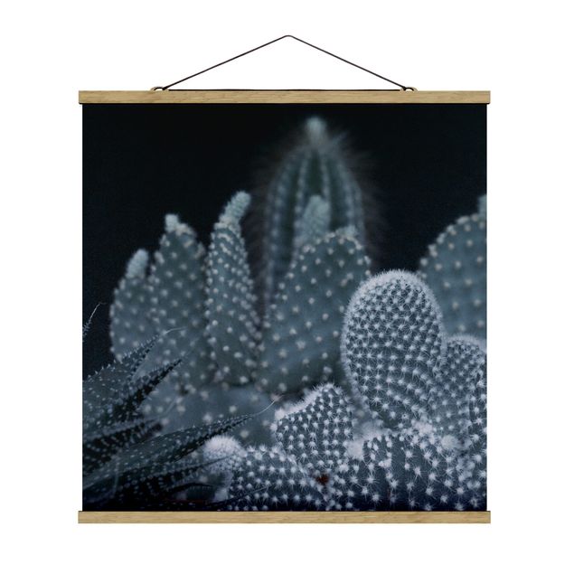 Fabric print with poster hangers - Familiy Of Cacti At Night - Square 1:1