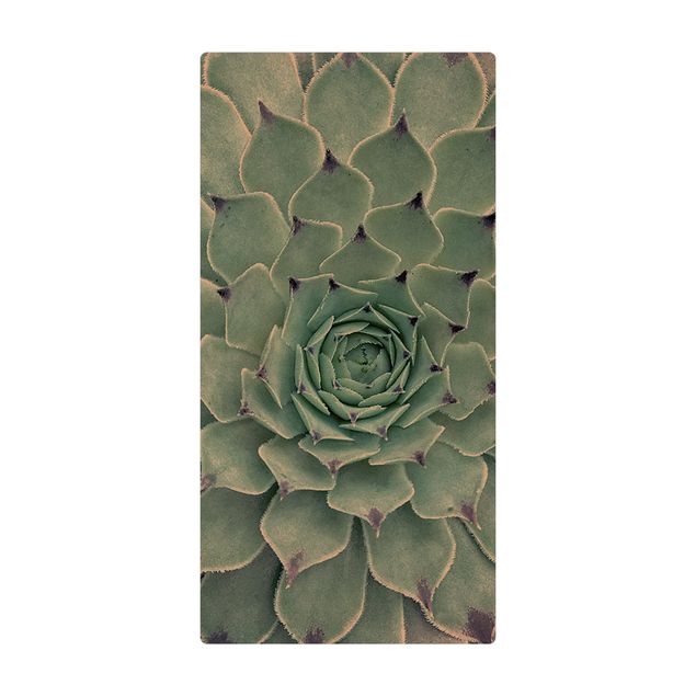 dining room area rugs Cactus Agave