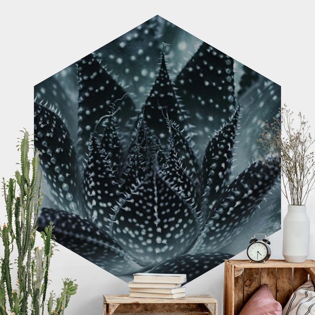 Hexagonal wallpapers Cactus Drizzled With Starlight At Night