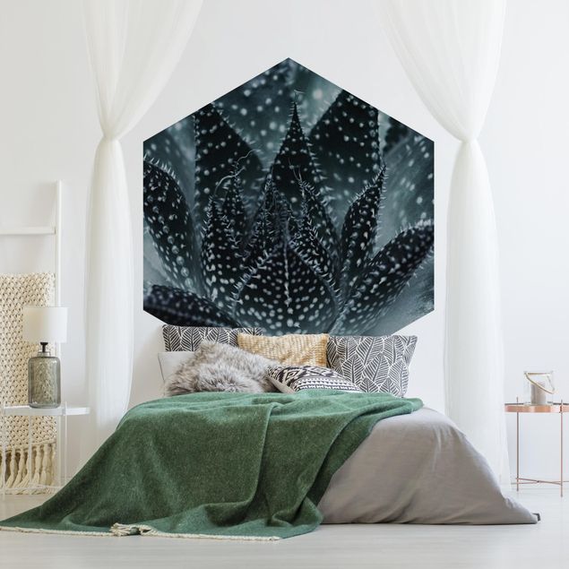 Self-adhesive hexagonal pattern wallpaper - Cactus Drizzled With Starlight At Night