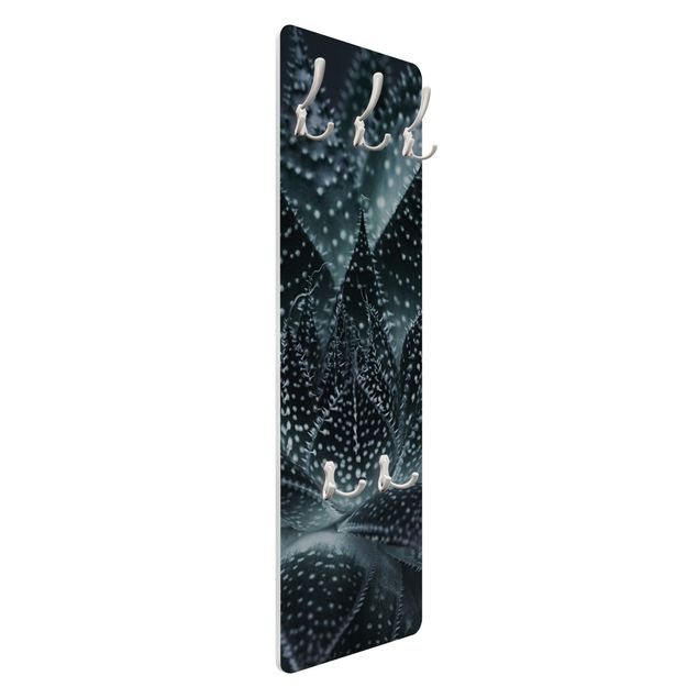 Coat rack modern - Cactus Drizzled With Starlight At Night