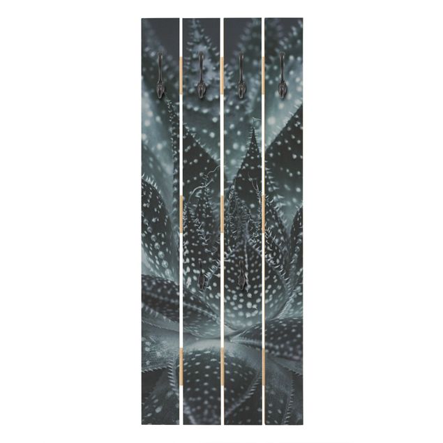 Wooden coat rack - Cactus Drizzled With Starlight At Night