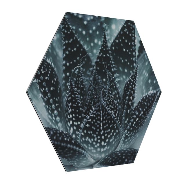 Alu-Dibond hexagon - Cactus Drizzled With Starlight At Night