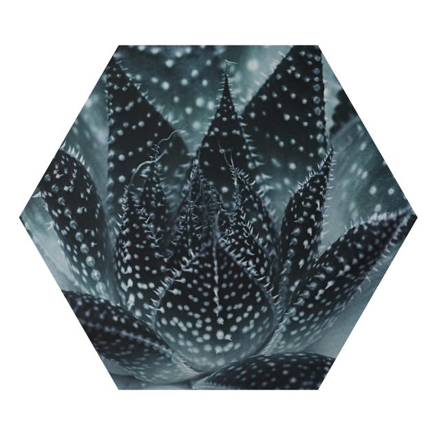 Alu-Dibond hexagon - Cactus Drizzled With Starlight At Night