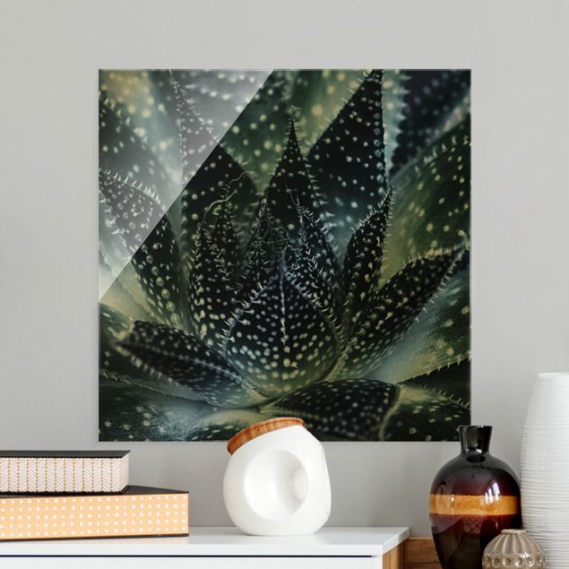 Glass print - Cactus Drizzled With Starlight At Night