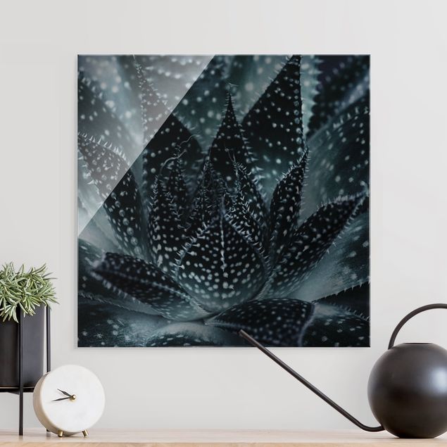 Glass print - Cactus Drizzled With Starlight At Night