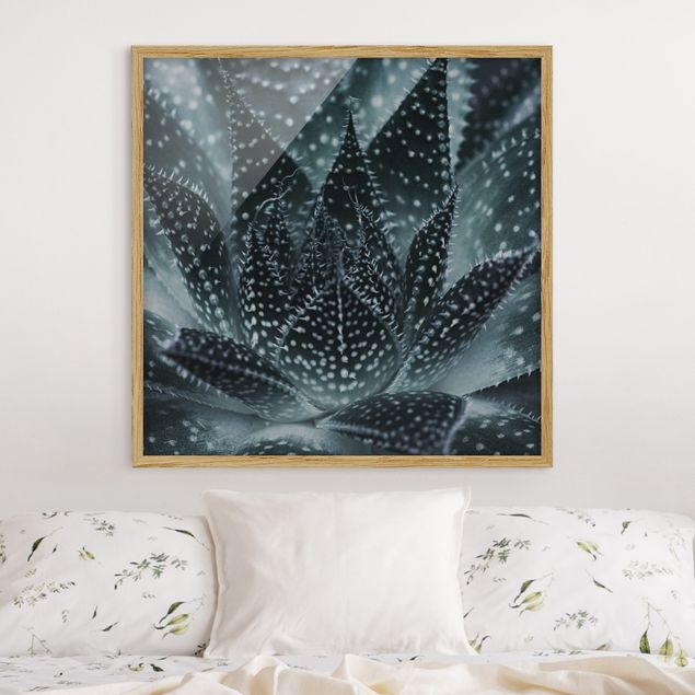 Framed poster - Cactus Drizzled With Starlight At Night