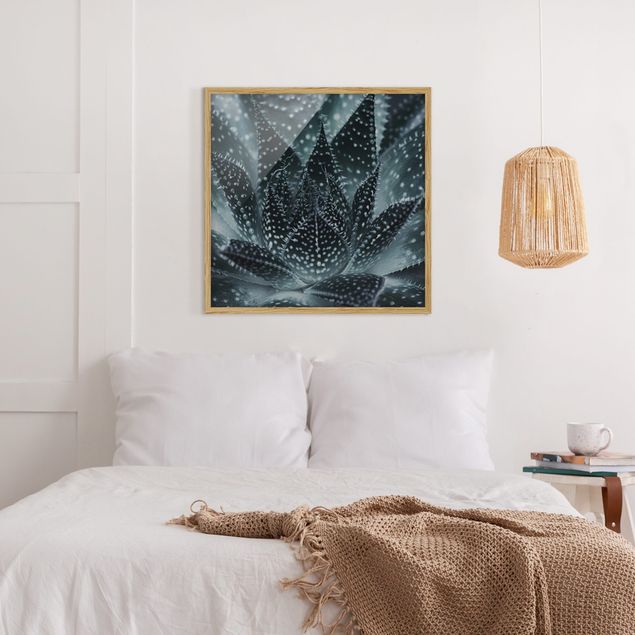 Framed poster - Cactus Drizzled With Starlight At Night