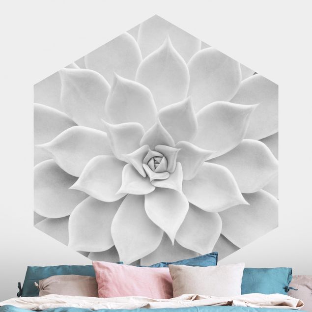 Self-adhesive hexagonal wall mural Cactus Succulent