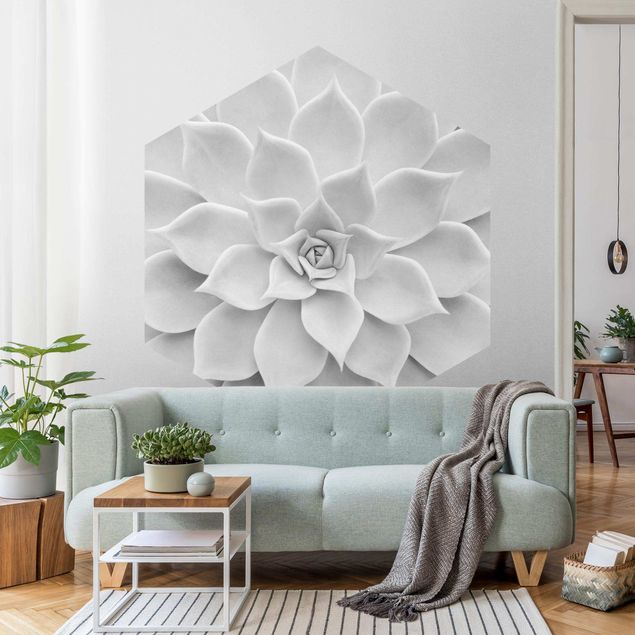 Self-adhesive hexagonal pattern wallpaper - Cactus Succulent