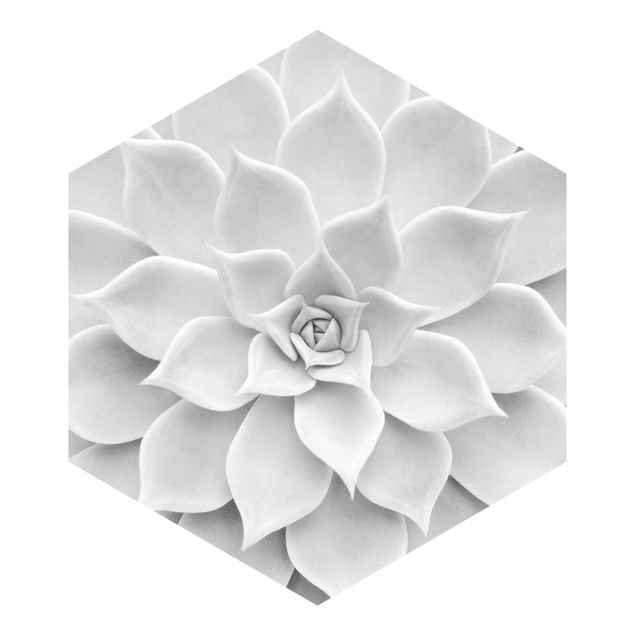 Self-adhesive hexagonal pattern wallpaper - Cactus Succulent