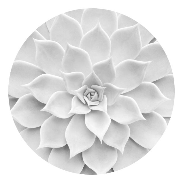 Self-adhesive round wallpaper - Cactus Succulent