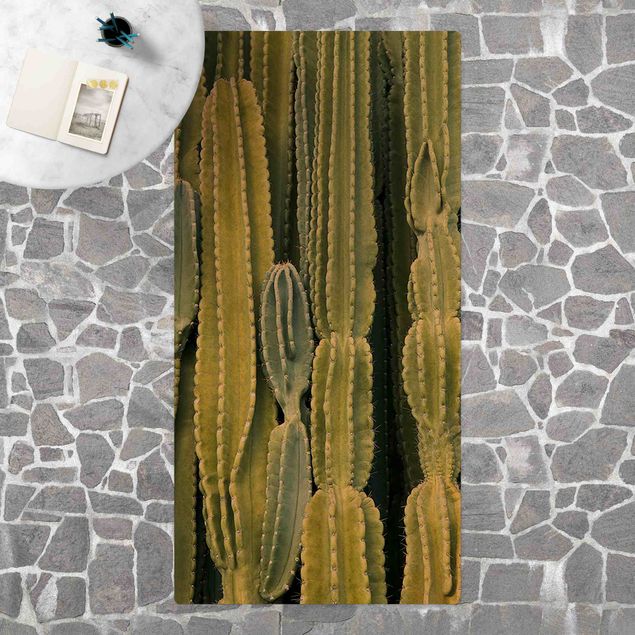 kitchen runner rugs Cactus Wall