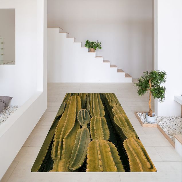 jungle theme rug Cactus Wall