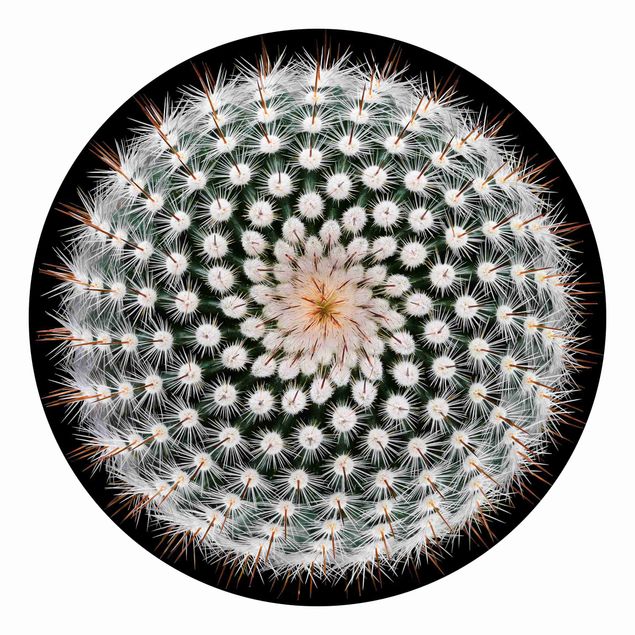 Self-adhesive round wallpaper - Cactus Flower