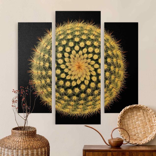 Print on canvas - Cactus Flower