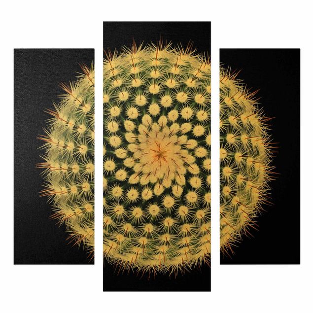 Print on canvas - Cactus Flower