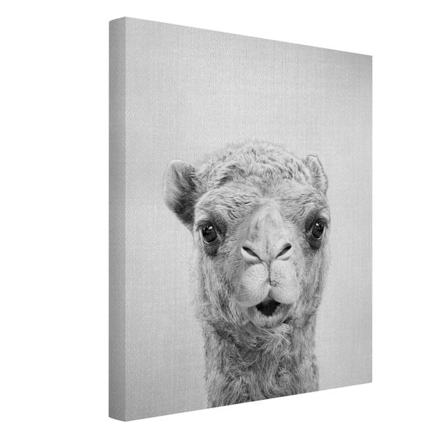 Canvas print - Camel Konrad Black And White - Portrait format 3:4