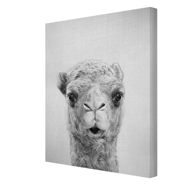 Canvas print - Camel Konrad Black And White - Portrait format 3:4