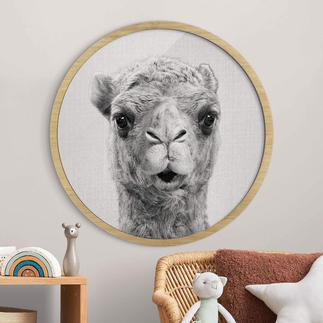Framed prints round Camel Konrad Black And White