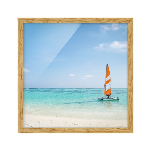 Framed poster - Catamaran At Sea In The Indian Ocean