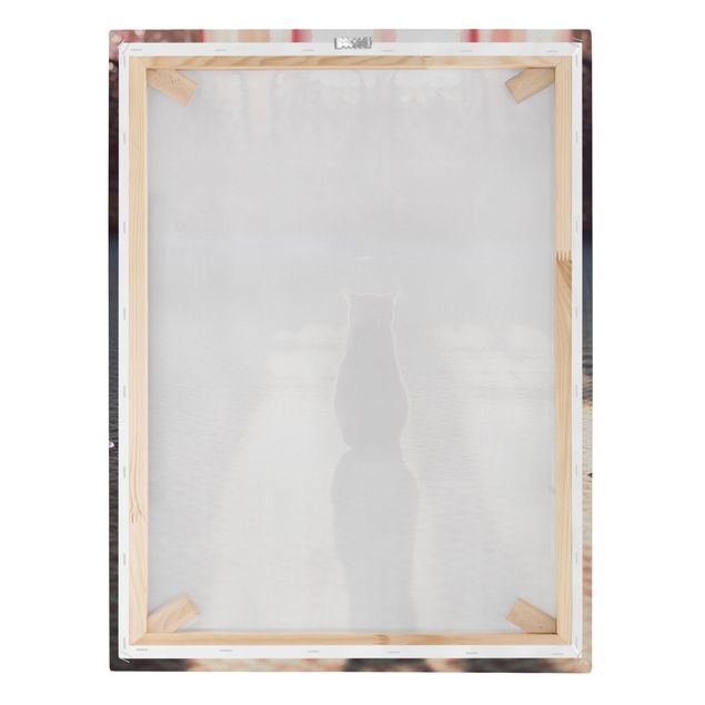 Print on canvas - Cat In Light Beam