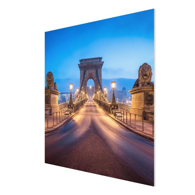 Print on forex - Chain Bridge In Budapest At Night - Square 1:1