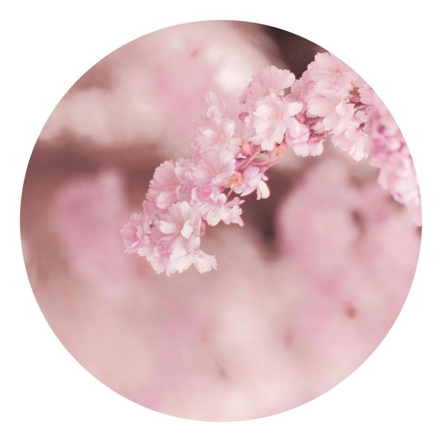 Self-adhesive round wallpaper - Cherry Blossoms In Purple Light