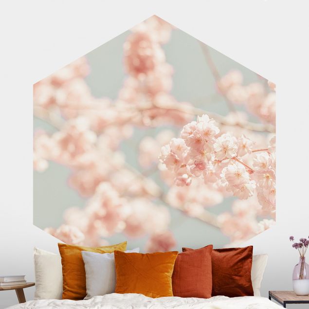 Hexagonal wallpapers Cherry Blossom Glow