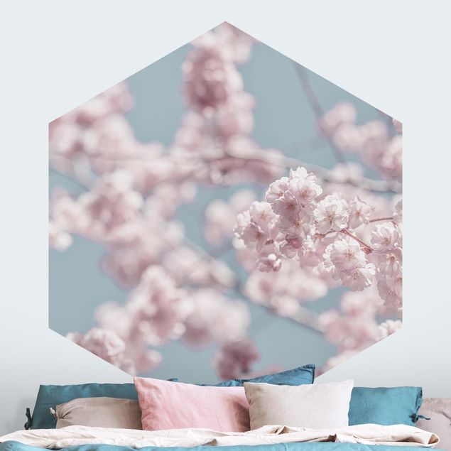 Wallpapers Cherry Blossom Party