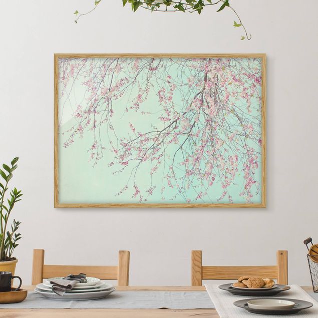 Framed poster - Cherry Blossom Yearning