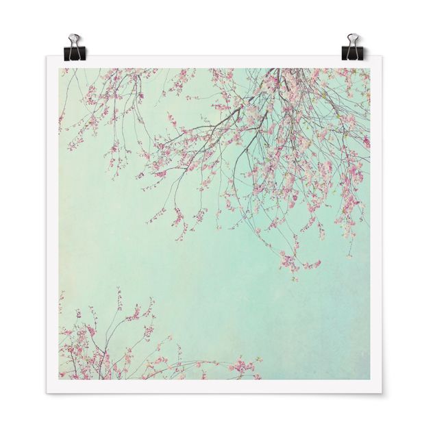 Poster - Cherry Blossom Yearning