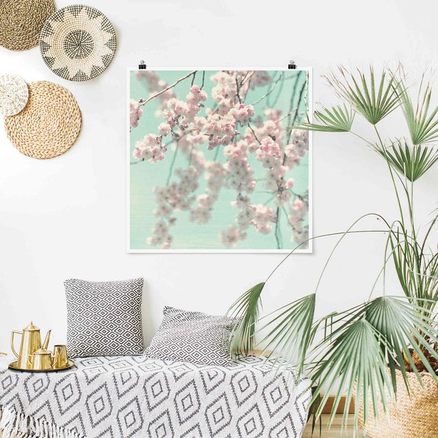 Poster - Dancing Cherry Blossoms On Canvas