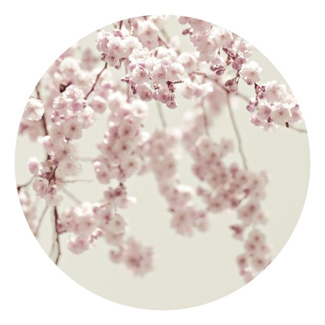 Self-adhesive round wallpaper - Dancing Cherry Blossoms