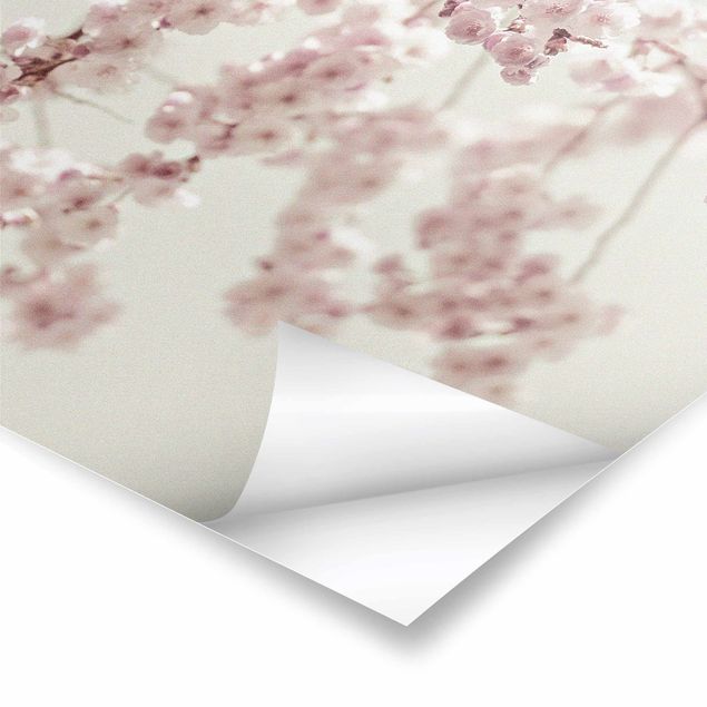 Poster - Dancing Cherry Blossoms