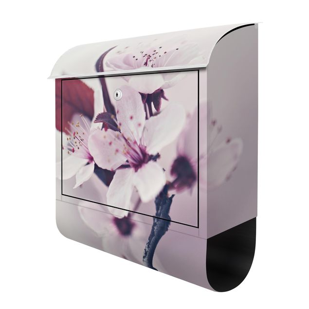 Letterbox - Cherry Blossom Branch Antique Pink