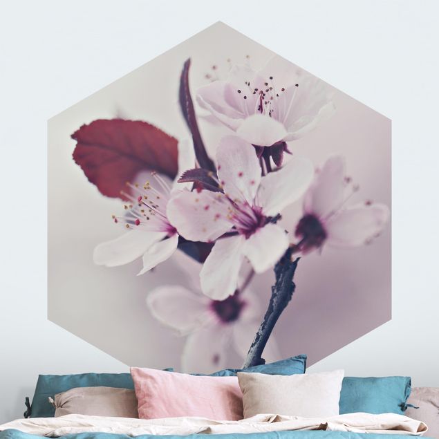 Wallpapers Cherry Blossom Branch Antique Pink